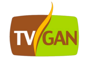 TV-GAN